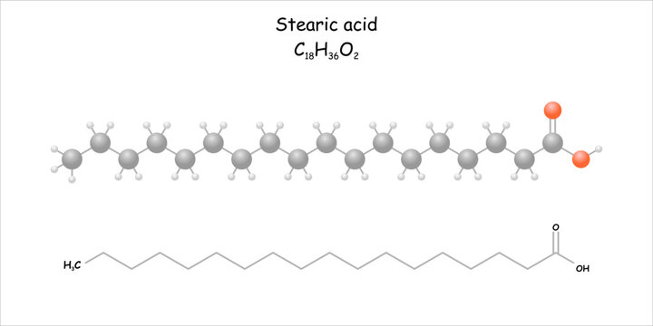 Stylized molecule model/skeletal formula of stearic acid.