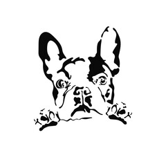 Vector illustration of a hand drawn silhouette of a french bulldog. Black dog template. Isolated on white background.
