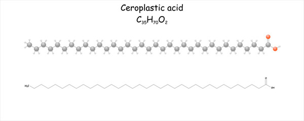 Stylized molecule model/skeletal formula of ceroplastic acid.