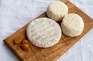 Taste of France, small round cheese Tome de Provence and matured small goat cheeses, Alpes-de-Haute-Provence, France
