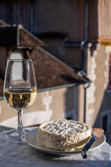 French wine and cheese pairing, glass of white chablis wine served with Saint-Félicien cow's milk cheese outdoor in Chablis winery, France