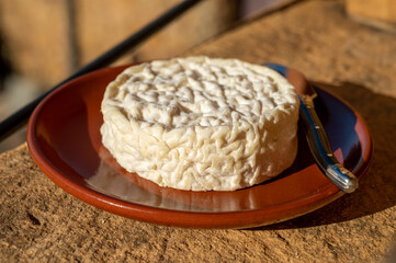 French cheeses collection, Saint-Félicien cow's milk cheese from Rhône-Alpes region of France designated a dauphinois cheese