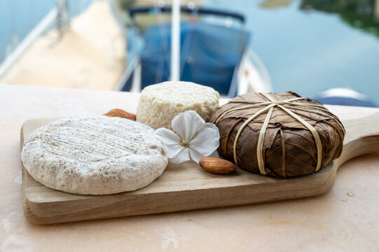 Taste of France, small round cheese Tome de Provence, matured small goat cheese and mountains cheese banon wrapped in chestnut leaves, Alpes-de-Haute-Provence, France