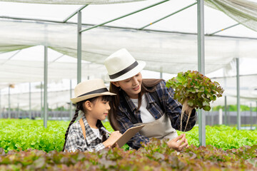 Asian family mother and daughter picking vegetables Check your own hydroponic vegetable garden together happily