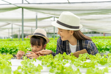 Asian family mother and daughter picking vegetables Check your own hydroponic vegetable garden together happily