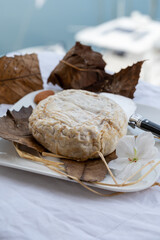 French mountains cheese banon wrapped in chestnut leaves made in Provence from unpasteurised goat milk