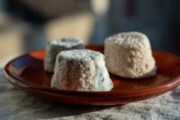 Small french goat cheeses, matured with grey mold from Macon, Burgundy, France