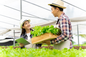 Naklejka na ściany i meble male and female couple Asian family picking vegetables Happy inspecting your own hydroponic vegetable garden.