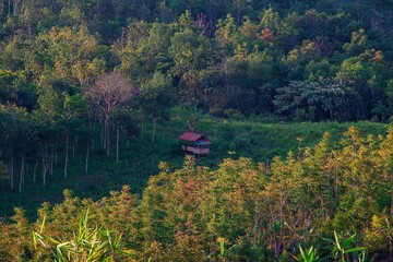 peasant hut