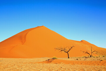 Fototapeta na wymiar distant view of People on the top of a bright orange sand dune with a bright blue clear sky