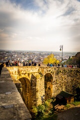 bridge over the river