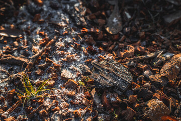 Snow ice on footpath with branches and autumn leaves. background texture.