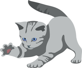 Playing kitten. Cat catching something with paw. Gray striped animal