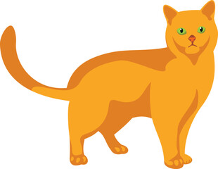 Ginger cat. Yellow pet standing. Cute animal