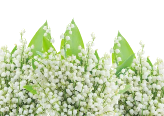 Fototapeten lilly of the valley posy © neirfy