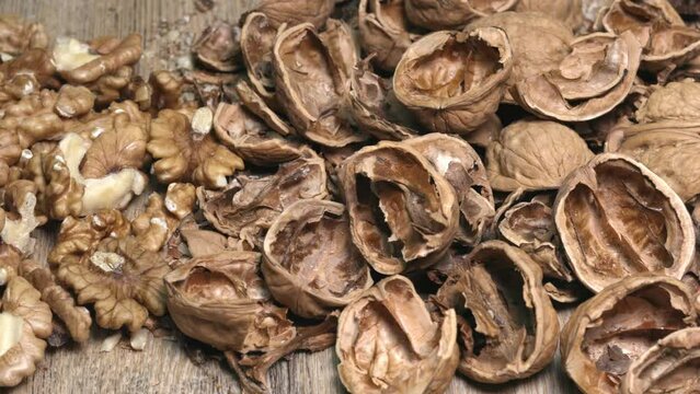 close up of dried fruits, walnut and open nutshell, horizontal motion, 4k resolution