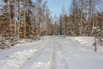 A road in the forest covered with snow