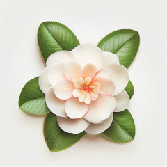 Naklejka premium Camellia flower in a top view, isolated on a white background, suitable for use on Valentine's Day cards.