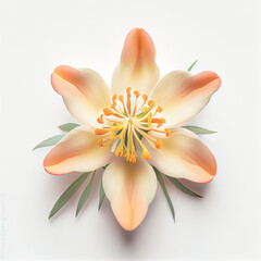 Top view a Columbine flower isolated on a white background, suitable for use on Valentine's Day cards