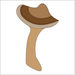 Reino fungi Hongos venenosos nombre científico Cortinarius orellanus