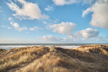 Fototapeta na wymiar Coastal Landscape in western Denmark. High quality photo