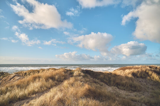 Coastal Landscape in western Denmark. High quality photo