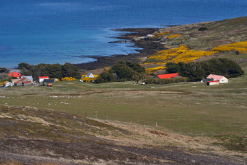 Farm buildings at Carcass Island Settlement in the Falkland Islands.
