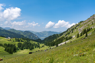 Panorama in den Alpen im Sommer