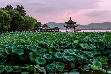 beautiful the west lake scenery, landscape with sunset in hangzhou,China