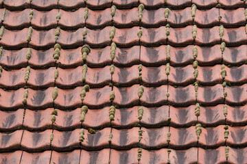 Blick auf ein markantes Dach mit alten, verwitterten roten Dachpfannen aus Ton und mit Moos bewachsenen Fugen