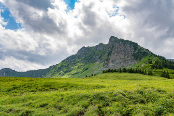 Fototapeta na wymiar Panorama in den Alpen im Sommer
