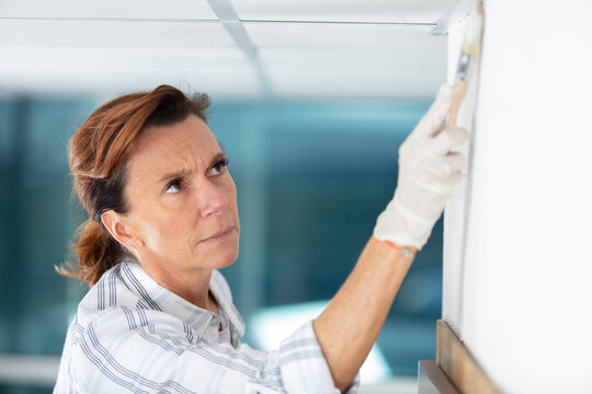 middle aged woman painting interior wall with a brush