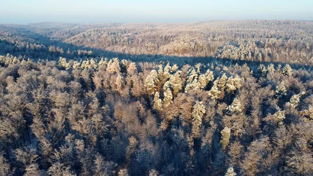 Aerial footage of sideways flight (left) over frozen forest in winter