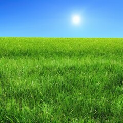 Obraz na płótnie Canvas Green grass and sunny blue sky background - generative ai