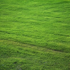 Obraz na płótnie Canvas Green grass sunny background - generative ai