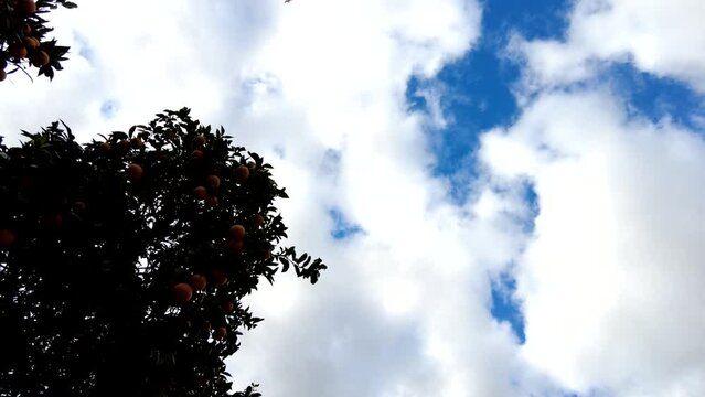 nuvens
