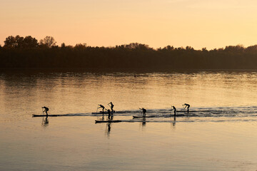 Fototapeta na wymiar River landscape with silhouettes of people rowing on stand up paddle boards (SUP) at calm surface of evening Danube river