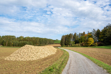 Obraz premium Landschaft Heimsheim