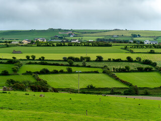 Fototapeta na wymiar Picturesque countryside, spring. Green farm fields, landscape. Beautiful Irish nature.