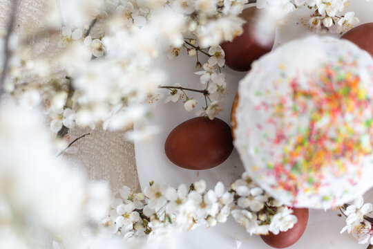 Easter cake and painted eggs blooming branch