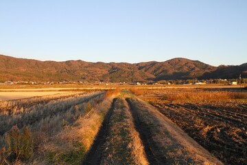 Fototapeta na wymiar Agricultural Foothill in Japanese Countryside in Evening Sun 