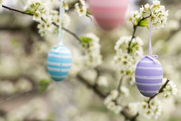 Beautiful Easter painted eggs in the branches of a blossoming apple tree