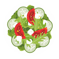Fresh vegetable and green leaf salad dish.Vector Illustration