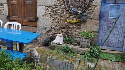 Une ruelle artisanale et jardinage, avec plusieurs petits pots, beaucoup de fleurs, décoration extérieur avec animaux, stands, sol mouillé, temps de pluie, maisons en pierres, entretien jardin