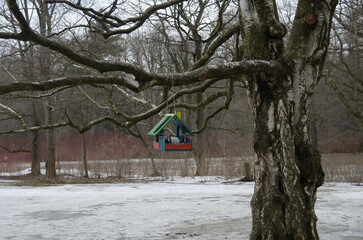 The beautiful bird house on a branch in a winter park