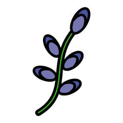 Naklejka premium Lavender Flower