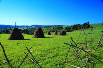 landscape with fence and grass
