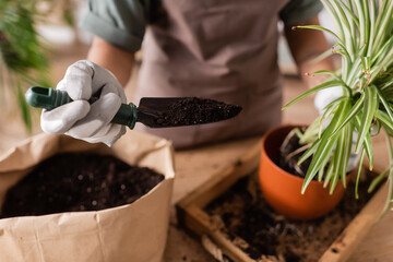 partial view of blurred african american florist holding green plant near paper bag and garden scoop with soil