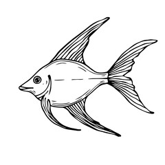 Doodle sketch of a decorative fish.Vector graphics.