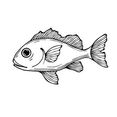 Doodle sketch of a decorative fish.Vector graphics.